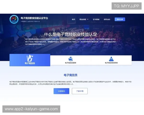 电竞职业选手薪酬结构与绩效分析